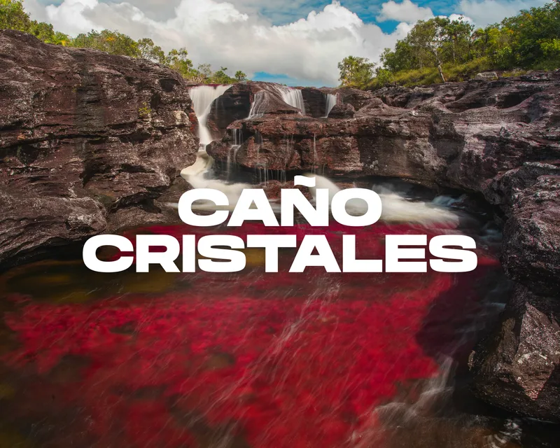 Caño Cristales
